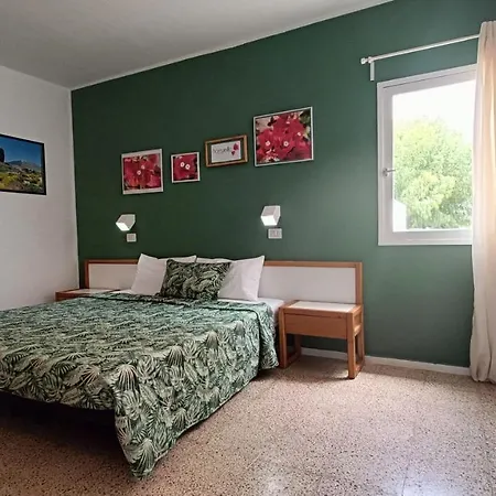 Bouganville En Eureka *