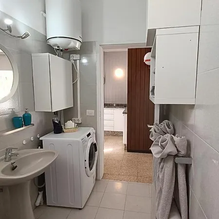 Bouganville En Eureka *