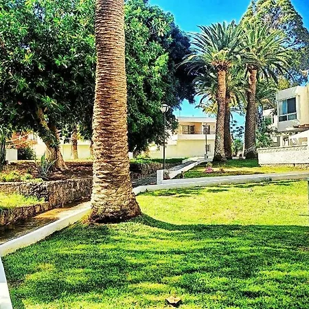 Bouganville En Eureka