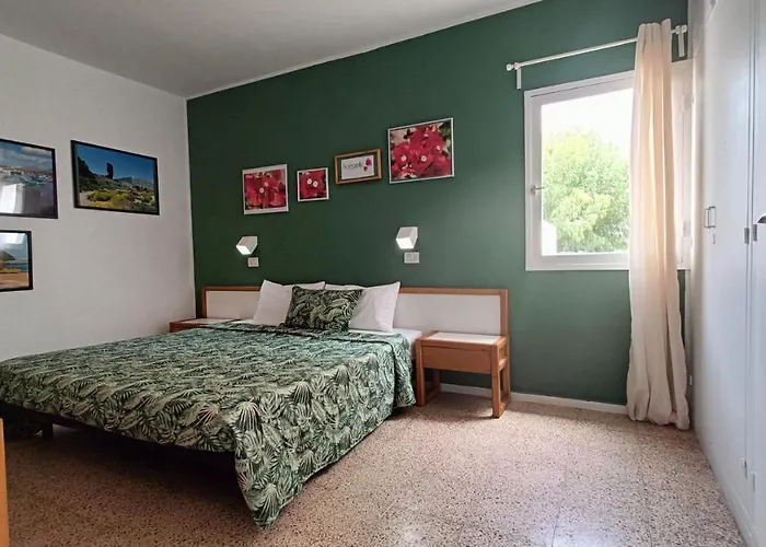 Bouganville En Eureka *