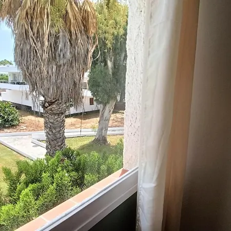 Bouganville En Eureka 德尔锡伦西奥海岸