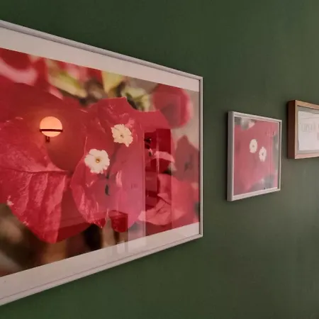 דירה Bouganville En Eureka