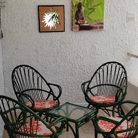 Bouganville En Eureka *