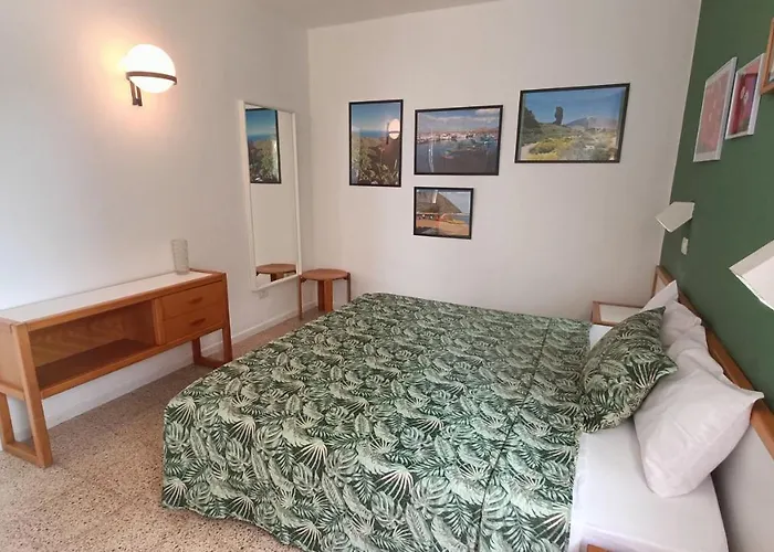 Bouganville En Eureka