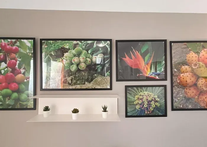 Daire Bouganville En Eureka Costa Del Silencio