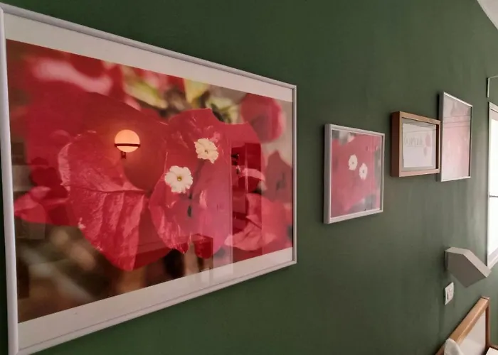 Daire Bouganville En Eureka