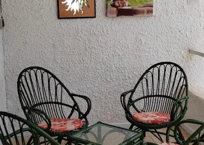 Bouganville En Eureka *