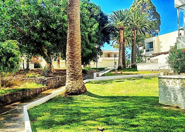 Bouganville En Eureka