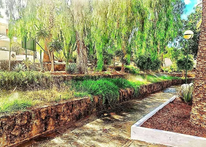 Bouganville En Eureka