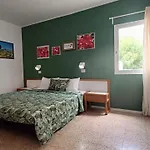 Bouganville En Eureka *