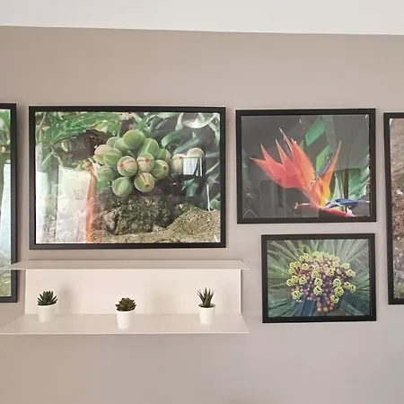 Appartement Bouganville En Eureka Costa Del Silencio