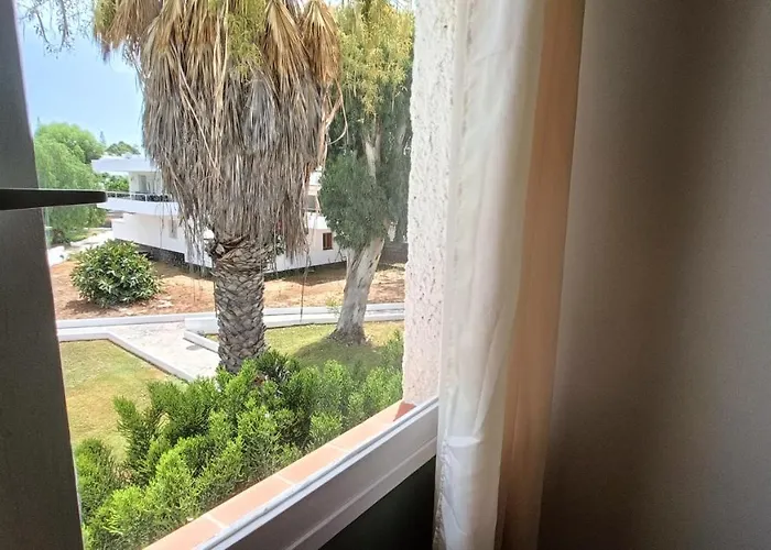 Bouganville En Eureka Costa Del Silencio